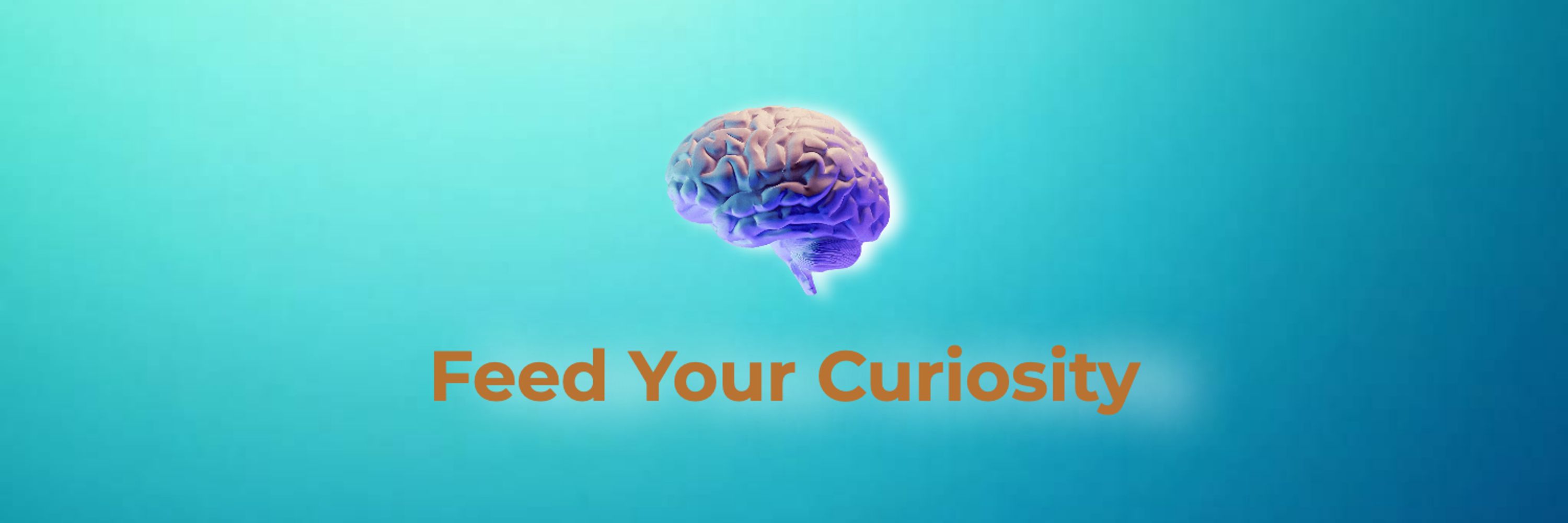 Feed Your Curiosity 🧠