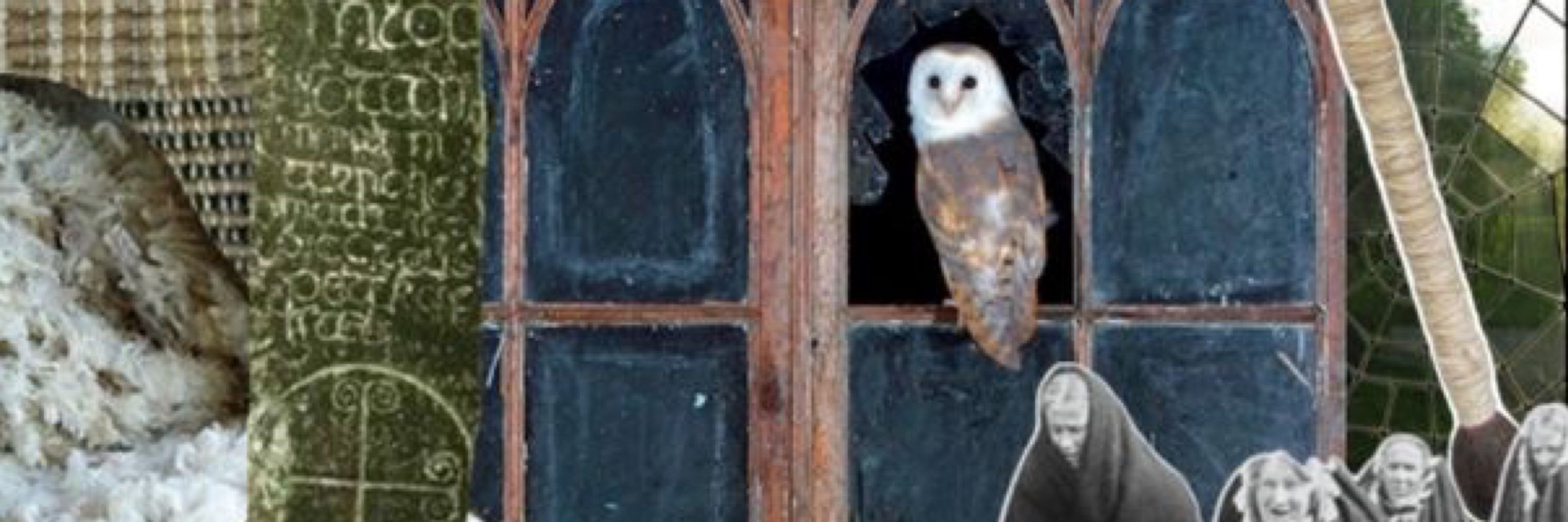 Owl Smith