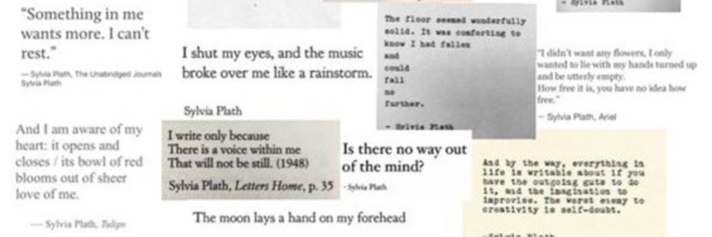 o diário de sylvia plath