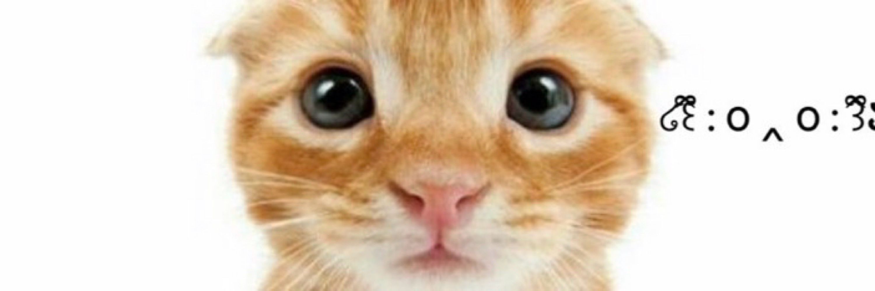👁️