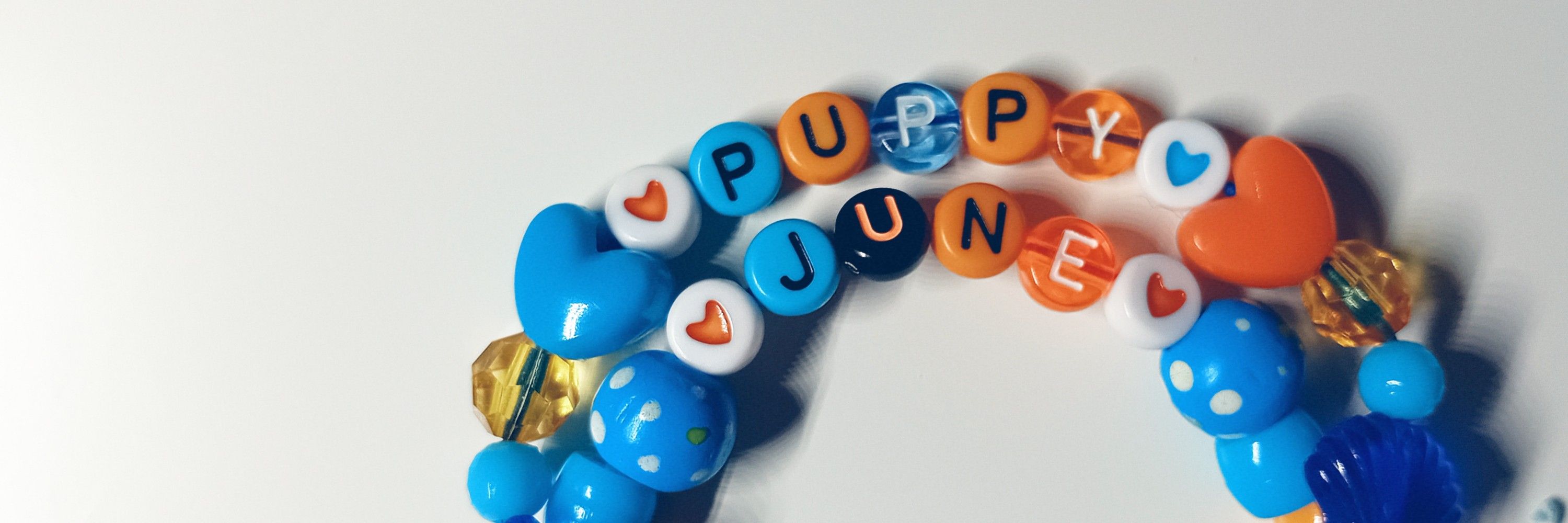 🧡🩵June Doggie🩵🧡