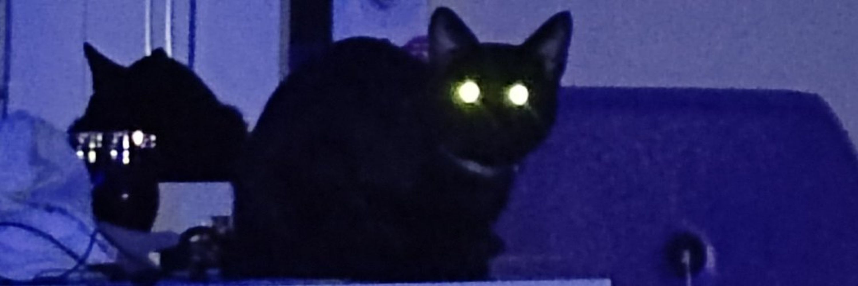 loló☆