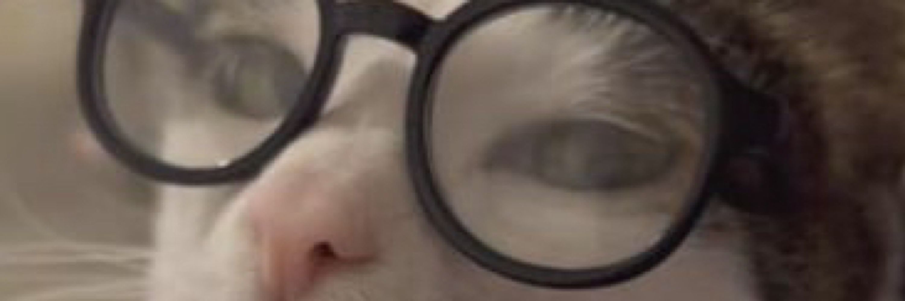 snek