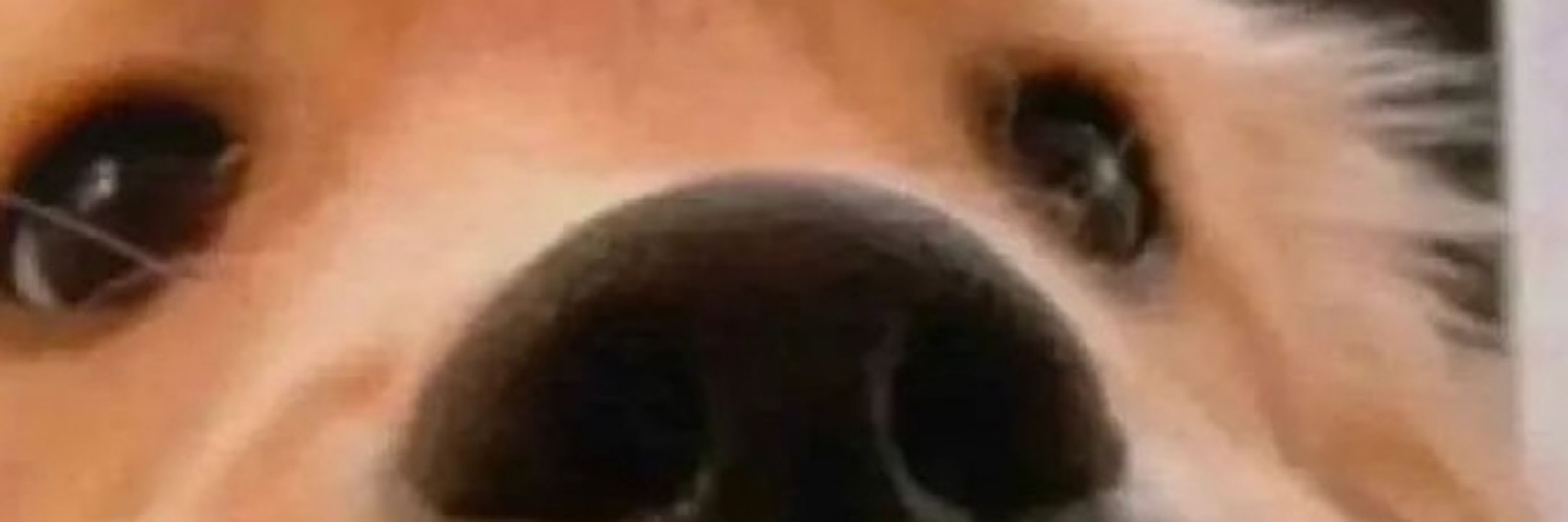 Eu de novo