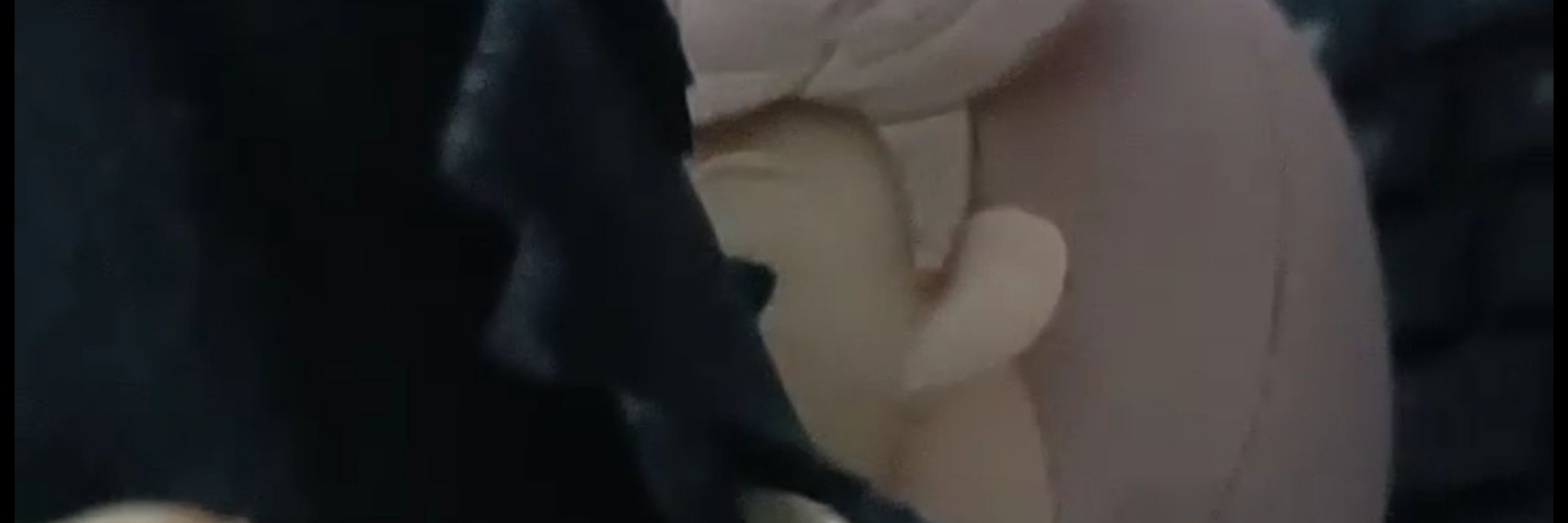 月判迷犬