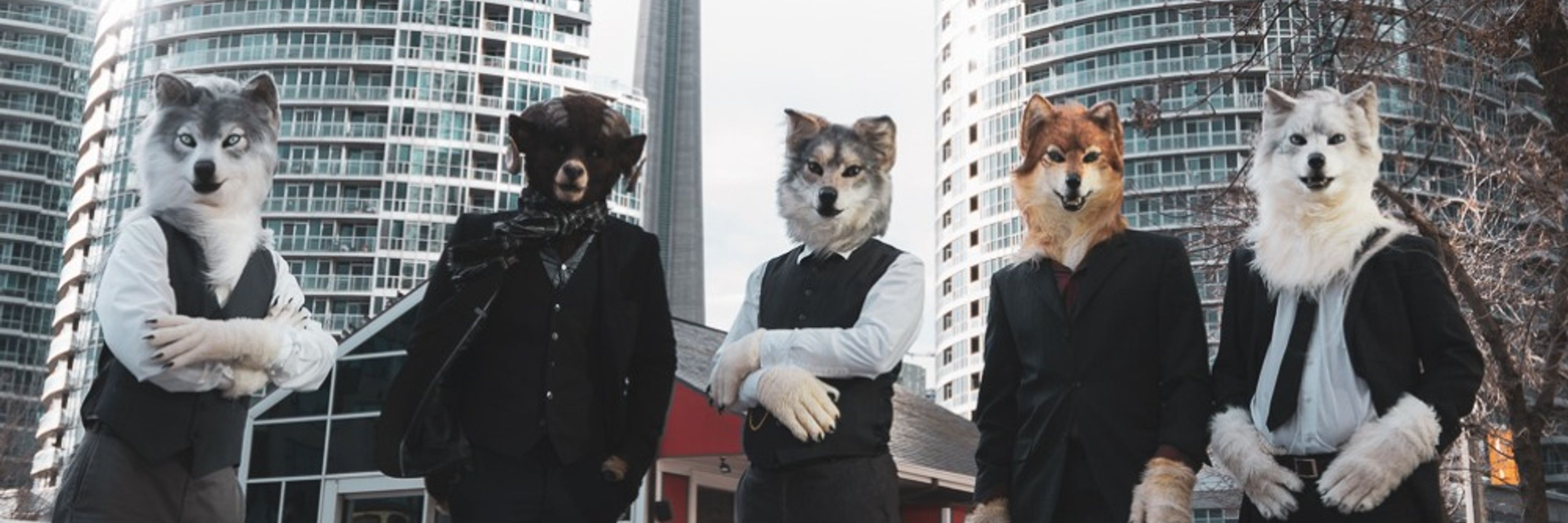 Baldric/Edwin/Nyx➡️ Anthrocon