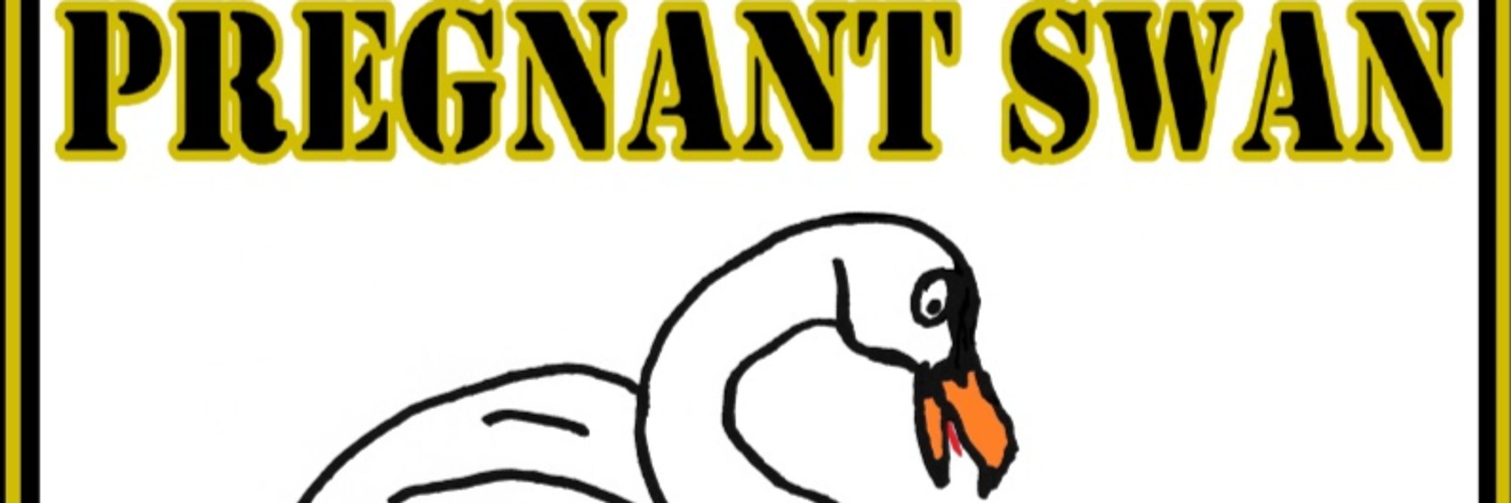 PregnantSwanProductions