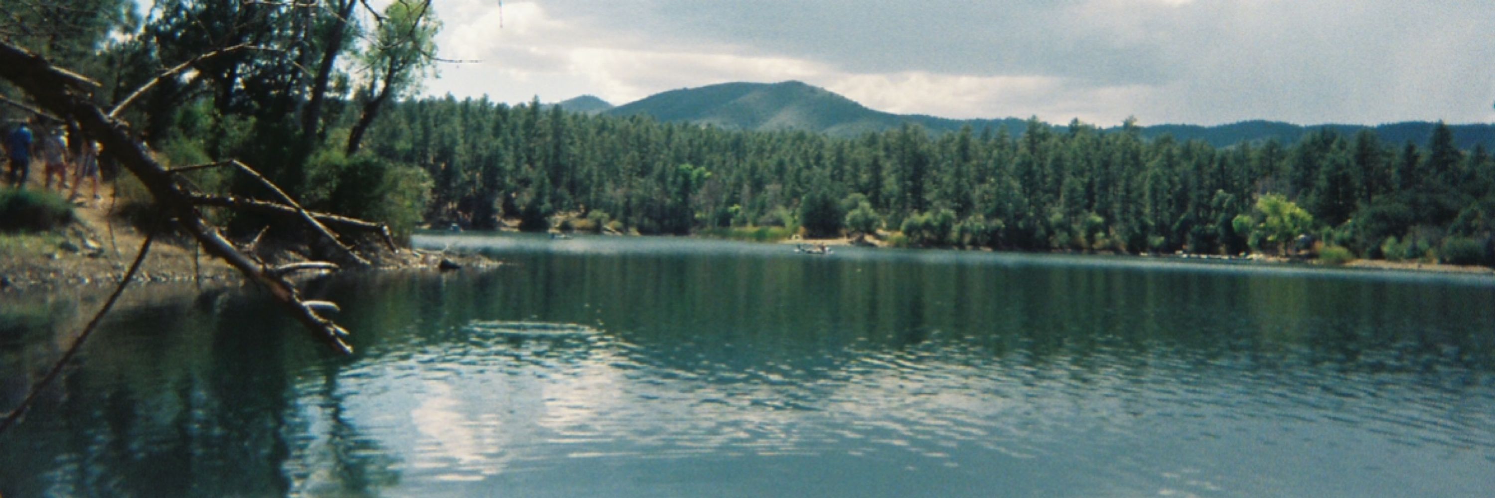 kota