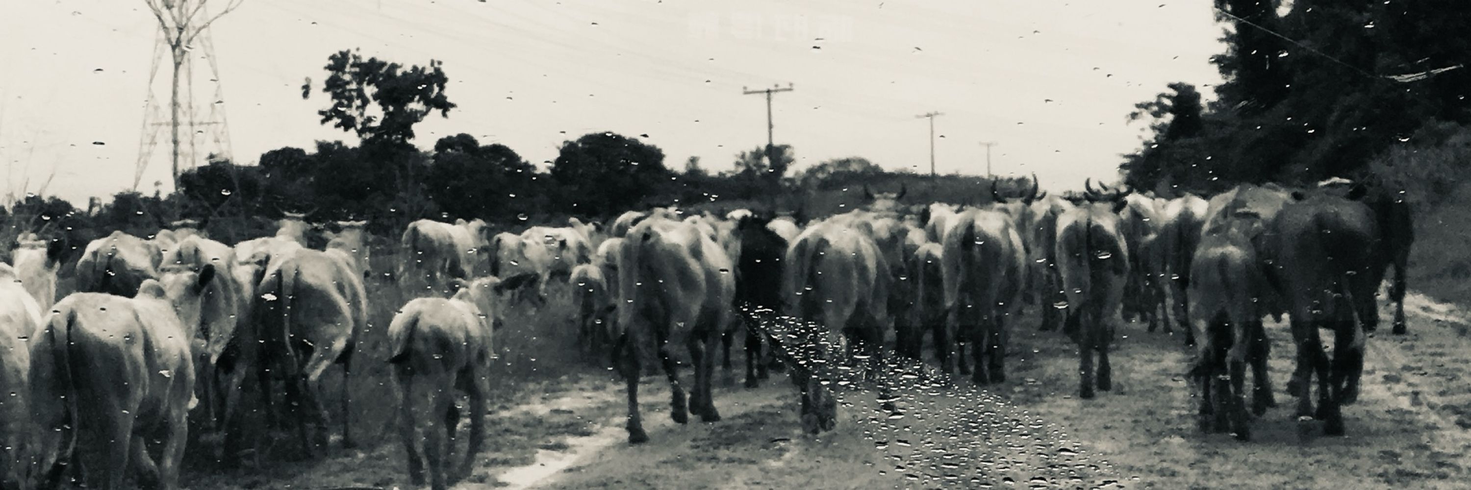 𝑻𝑬𝑿✰𝑺