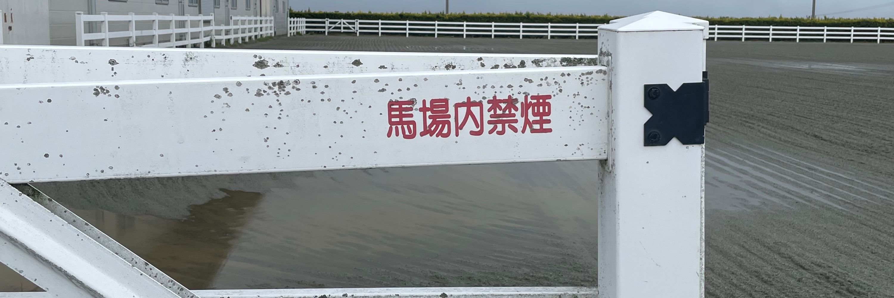 鳩笛🔞