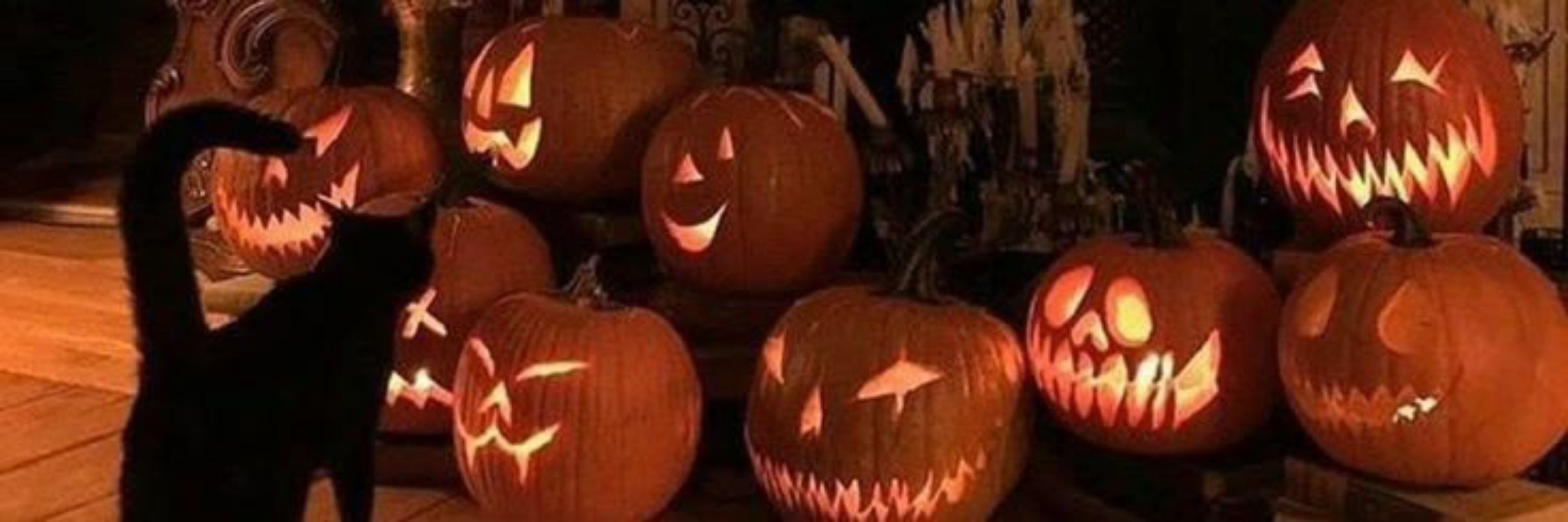 𝓜ₒᵣₑₗₗₐ 🎃