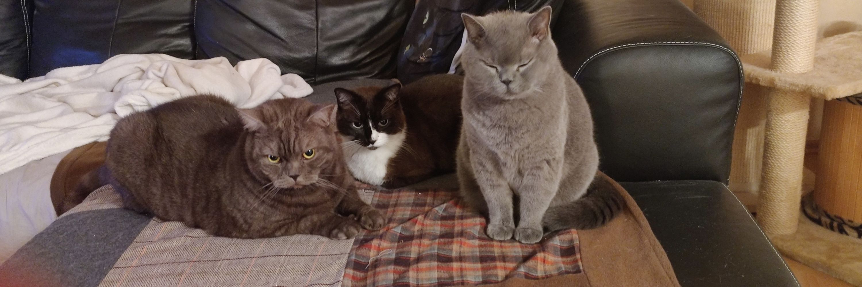 𝓜𝓪𝓶𝓪 𝓢𝓬𝓱𝓷𝓸𝓮𝓼𝓮𝓵𝓬𝓱𝓮𝓷 🐾🐾🐾
