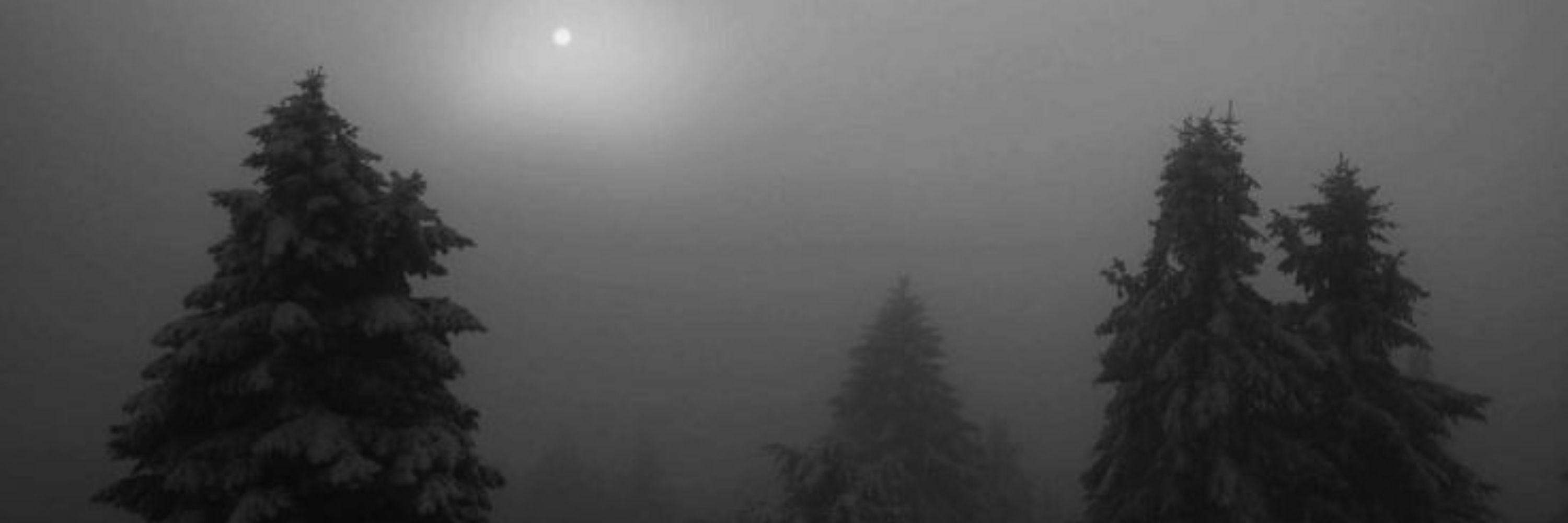 Little Mist