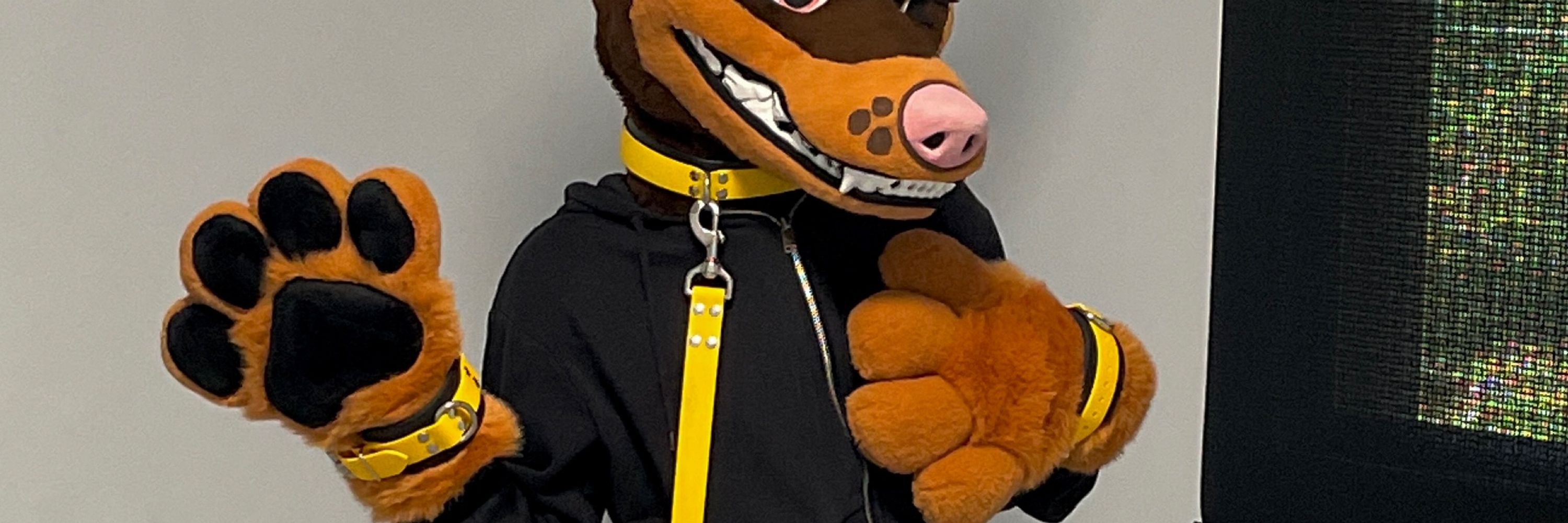||💛 Tobi Doberman 💛|| 🔞