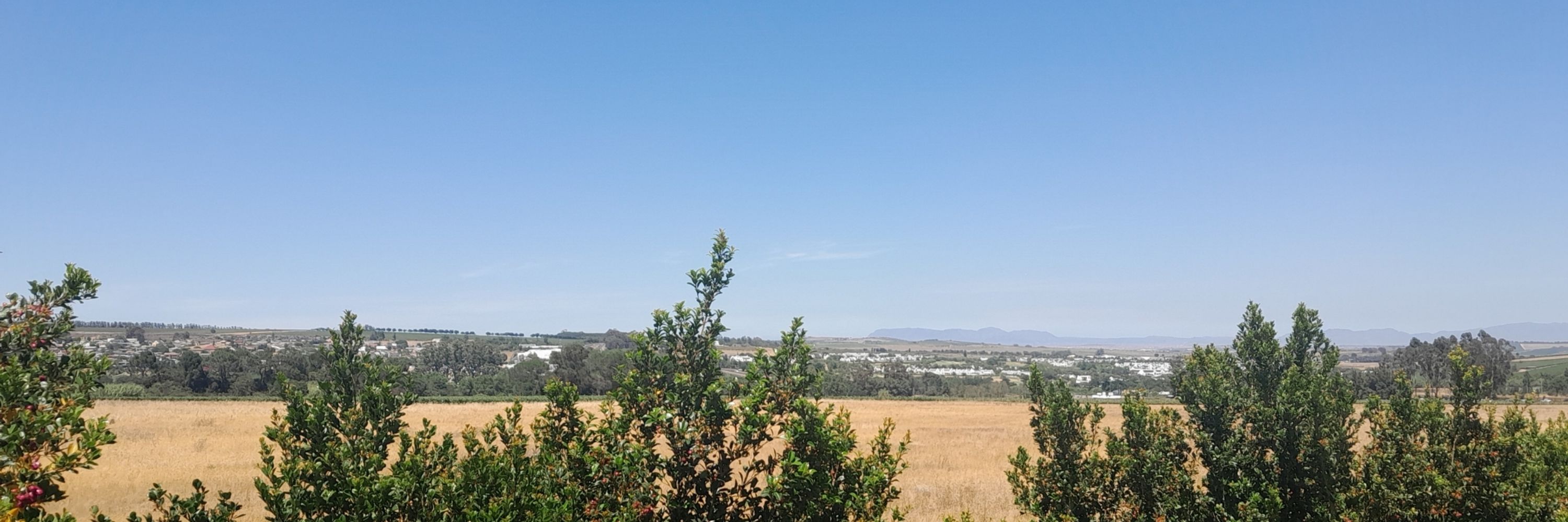 Nolwazi