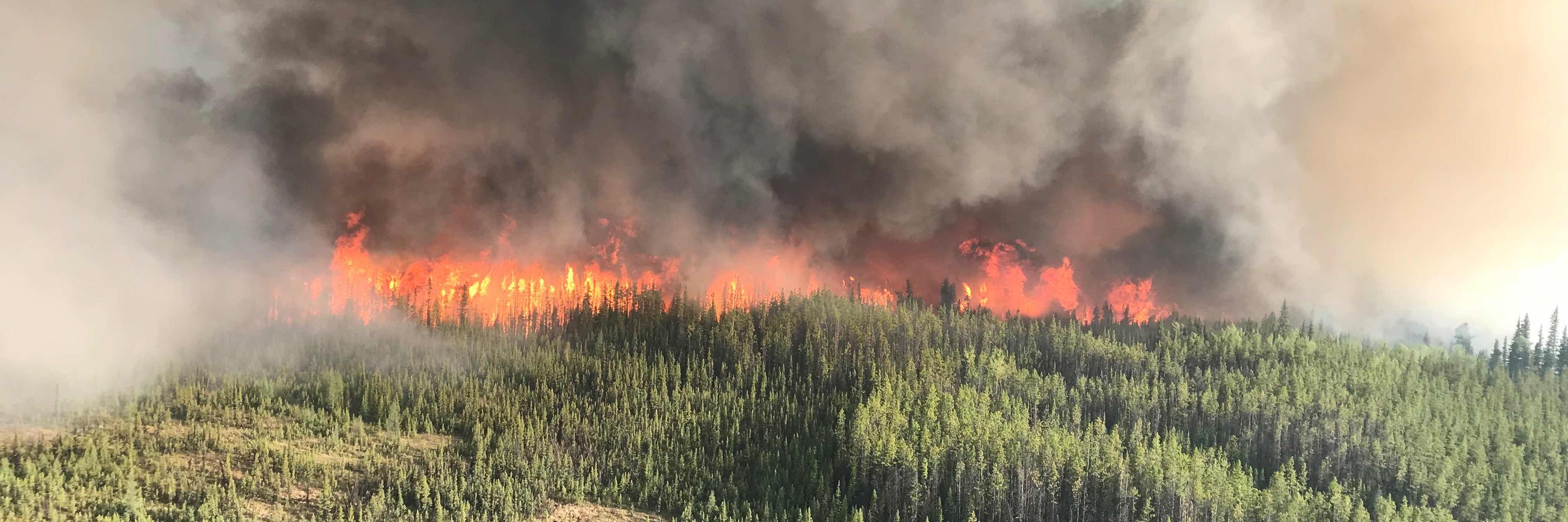 Wildfire Analytics