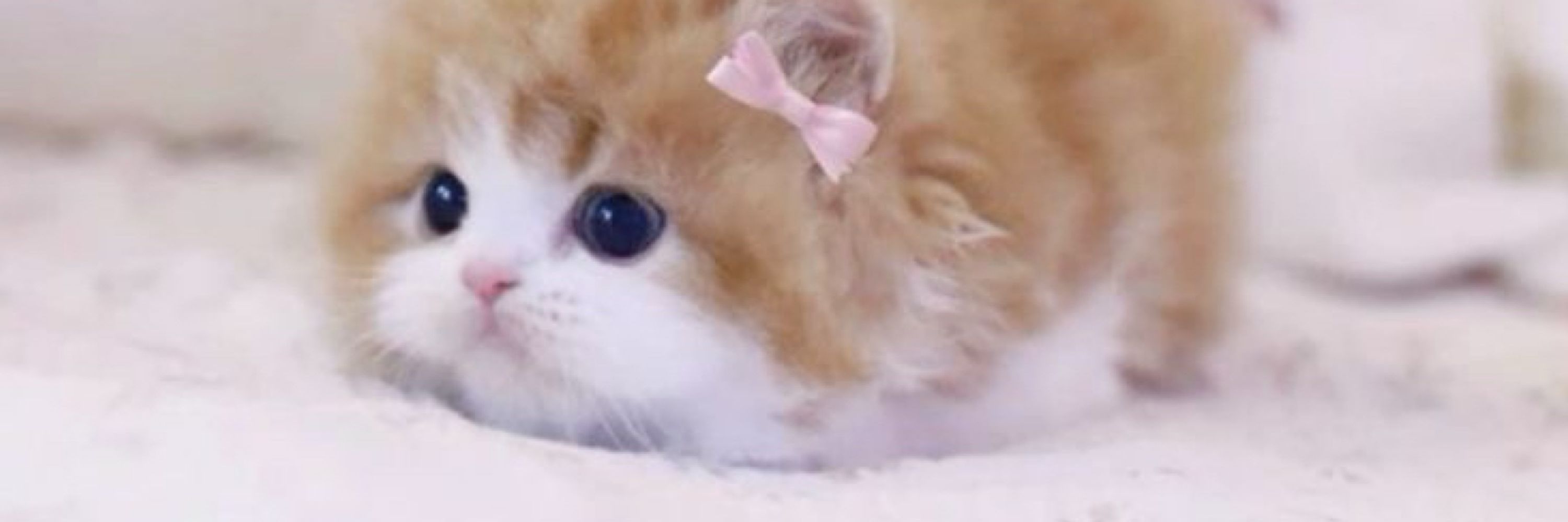 kami