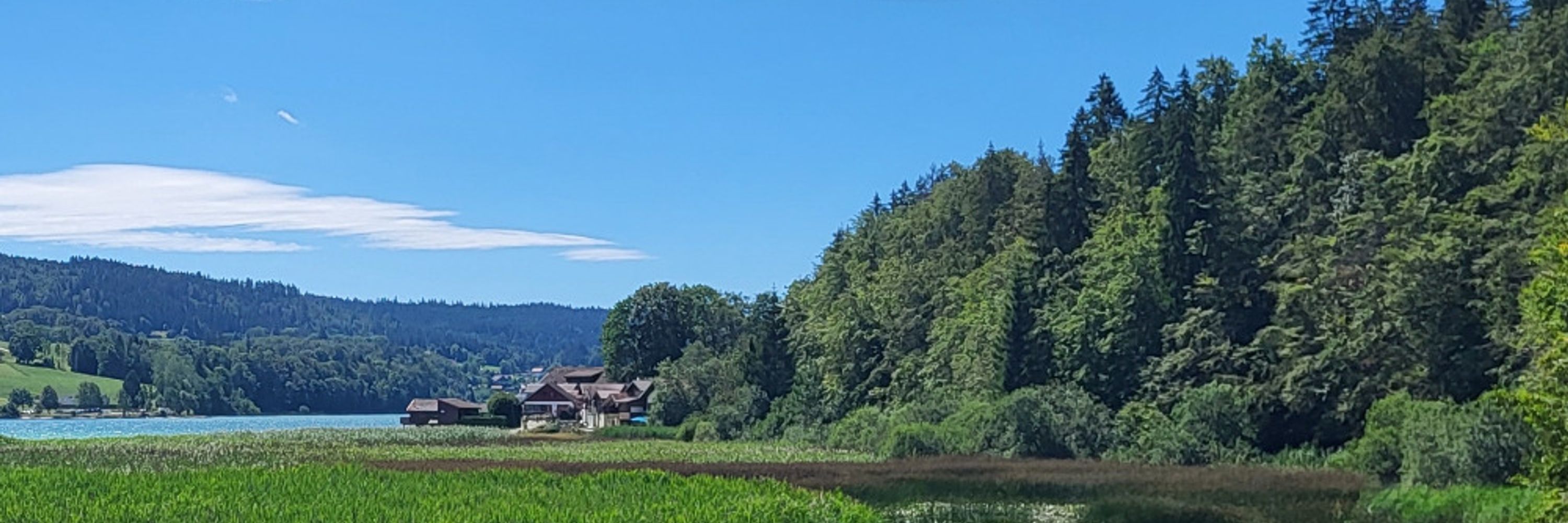 Océane 