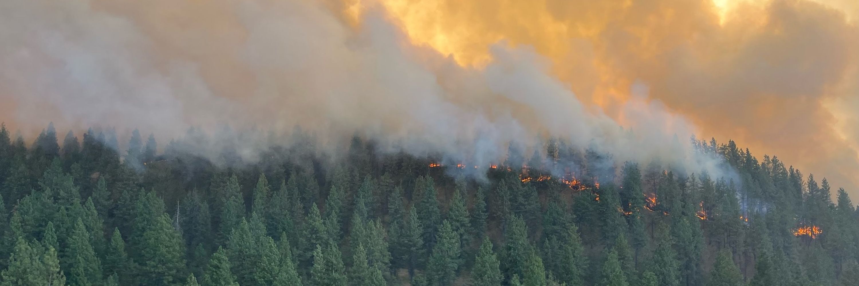 NW Fire Blog