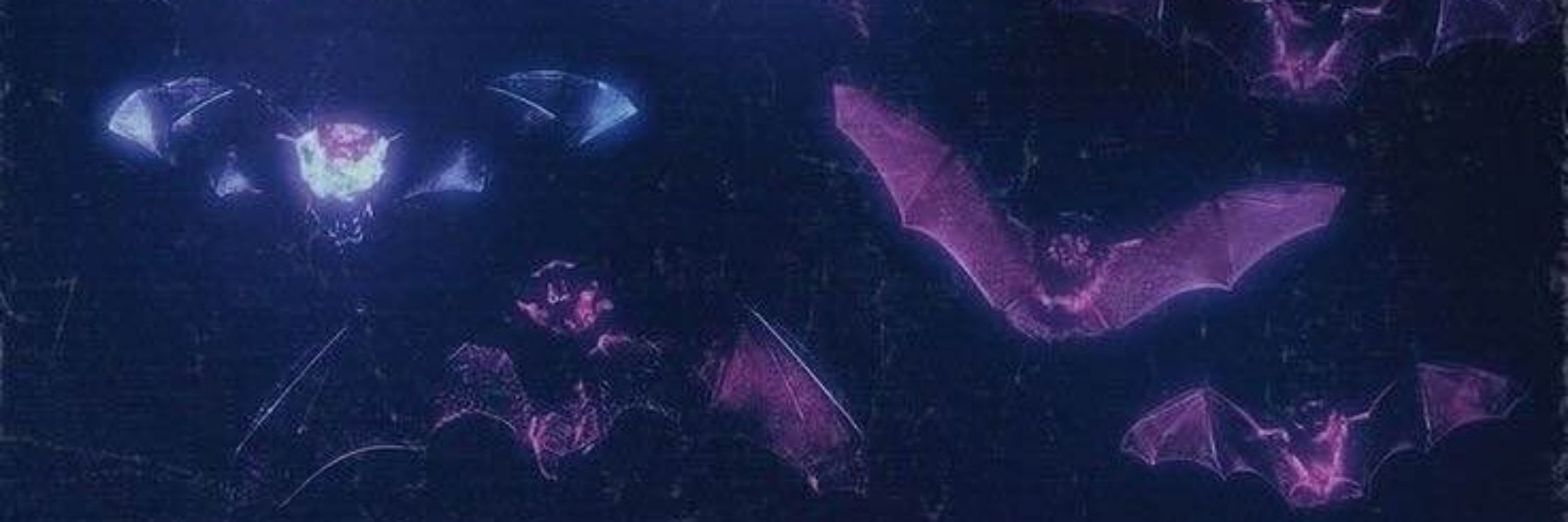 🦇starfvcker🦇