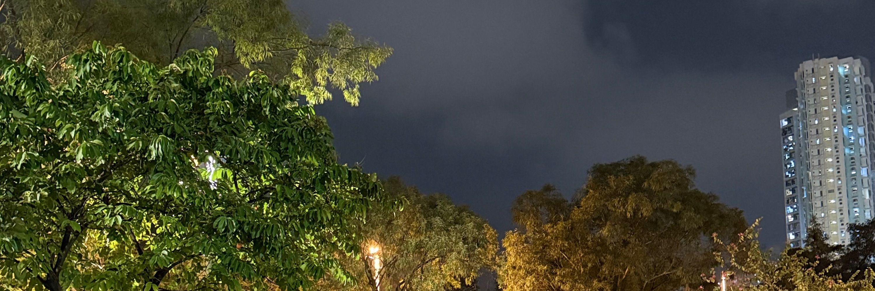 Arogya Rijal