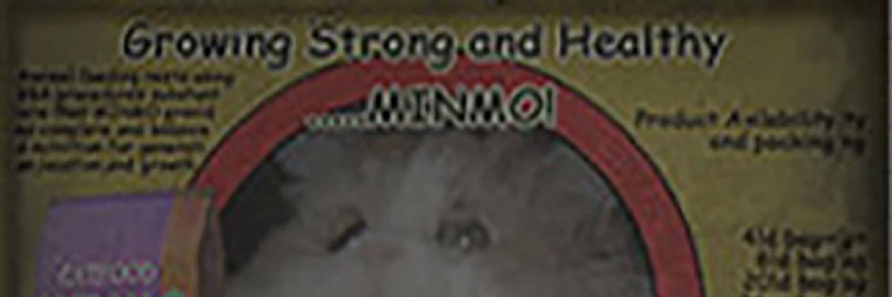 Minmo