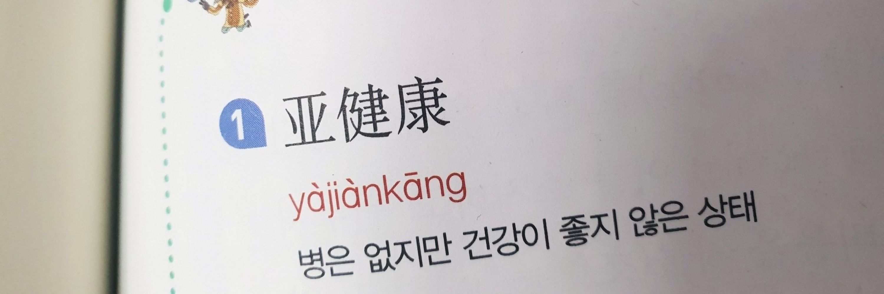 감자