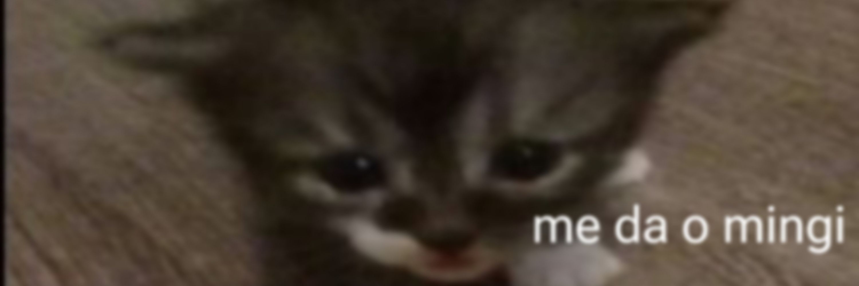 nikky