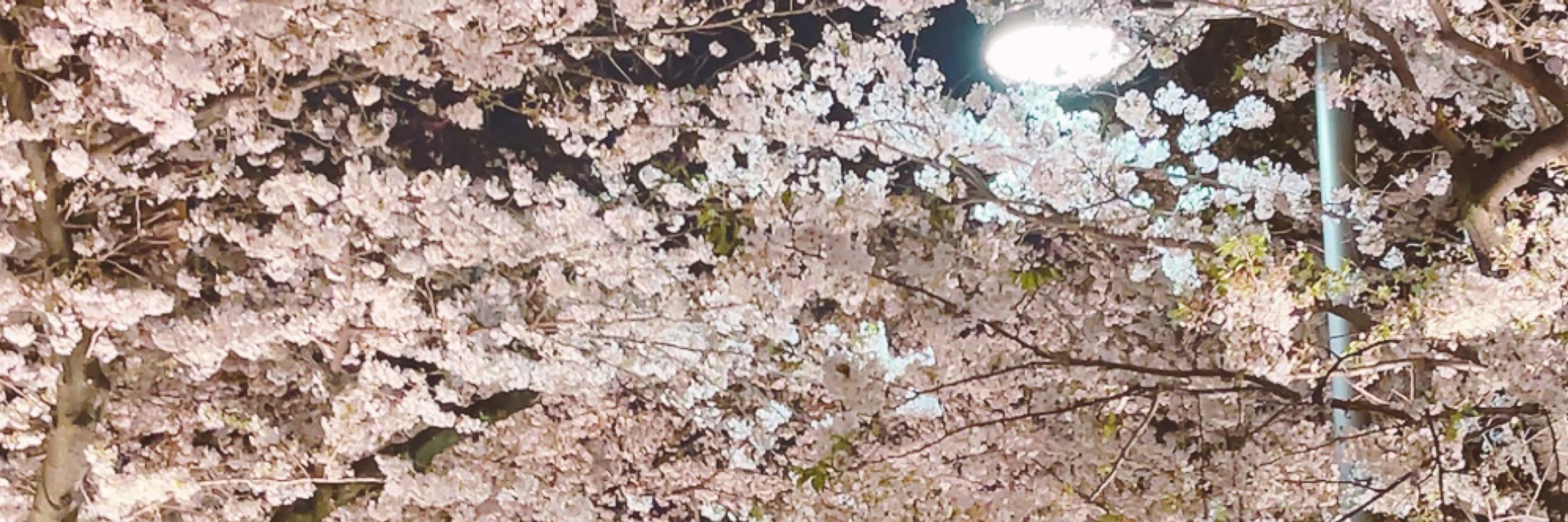 ちで