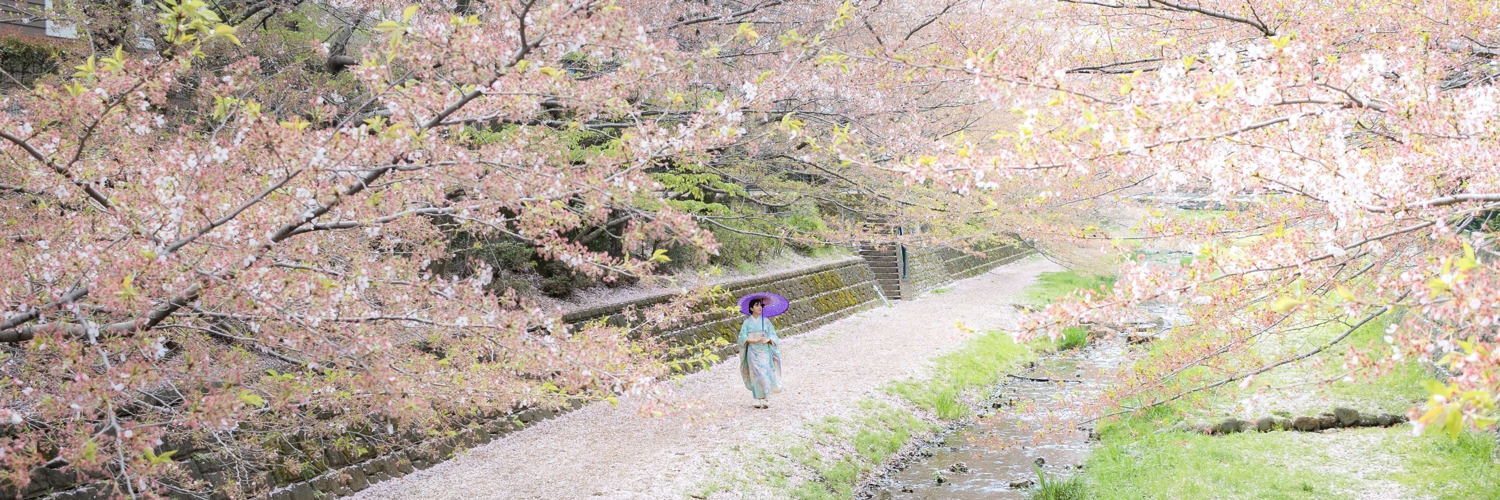 片倉ゆうき