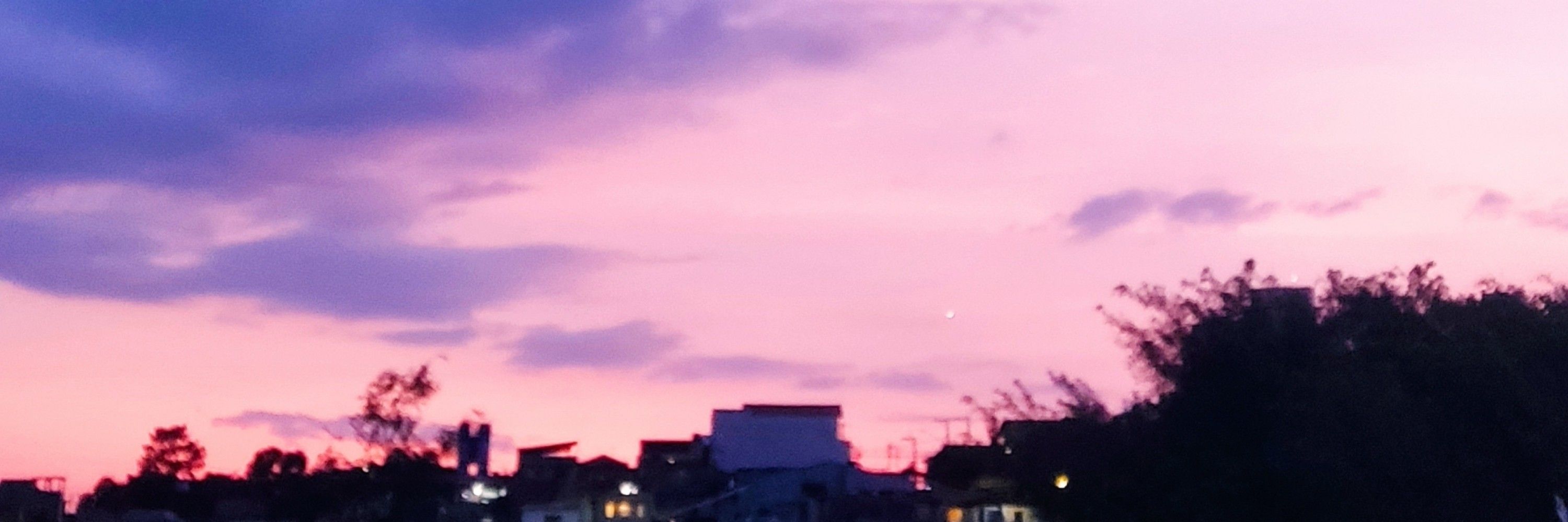Miguel Vicente