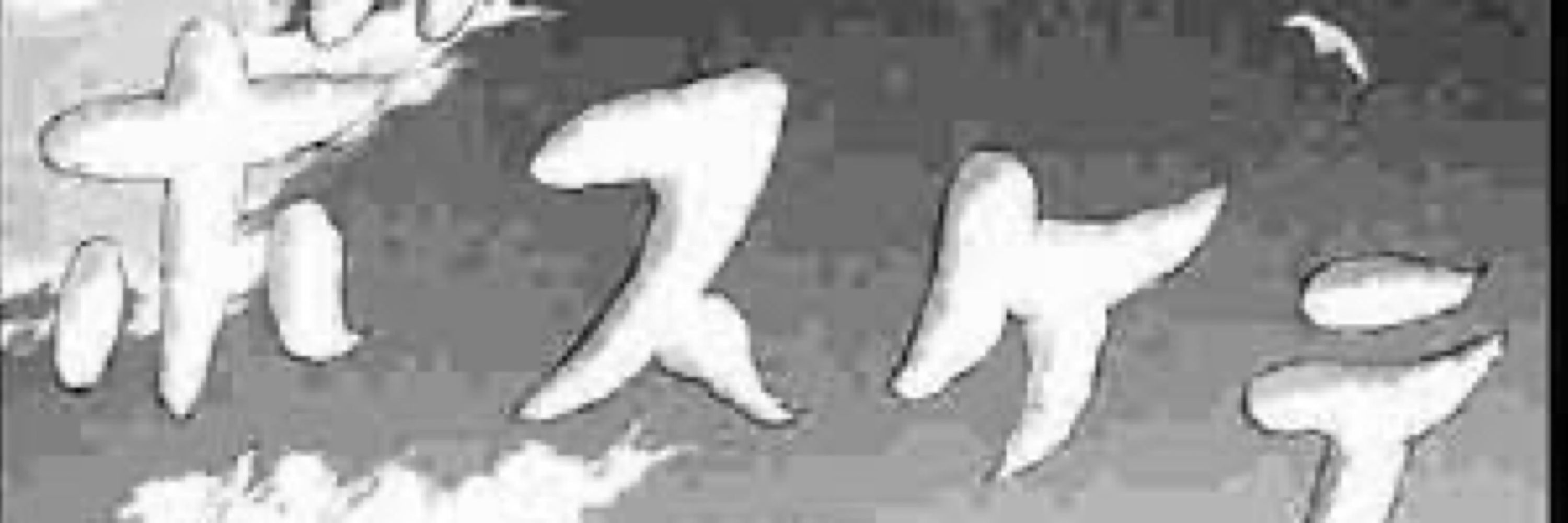 みついまいか