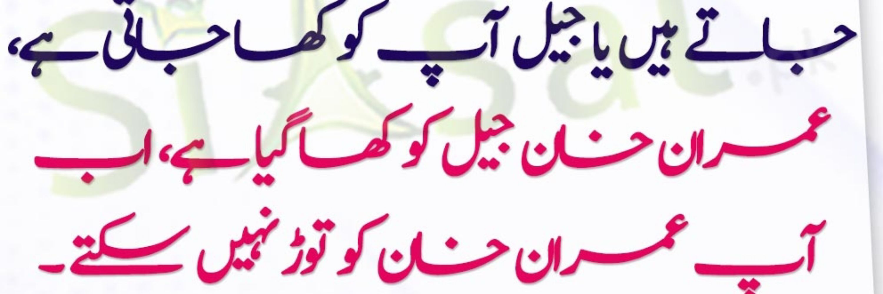 Zeeshan Mehdi