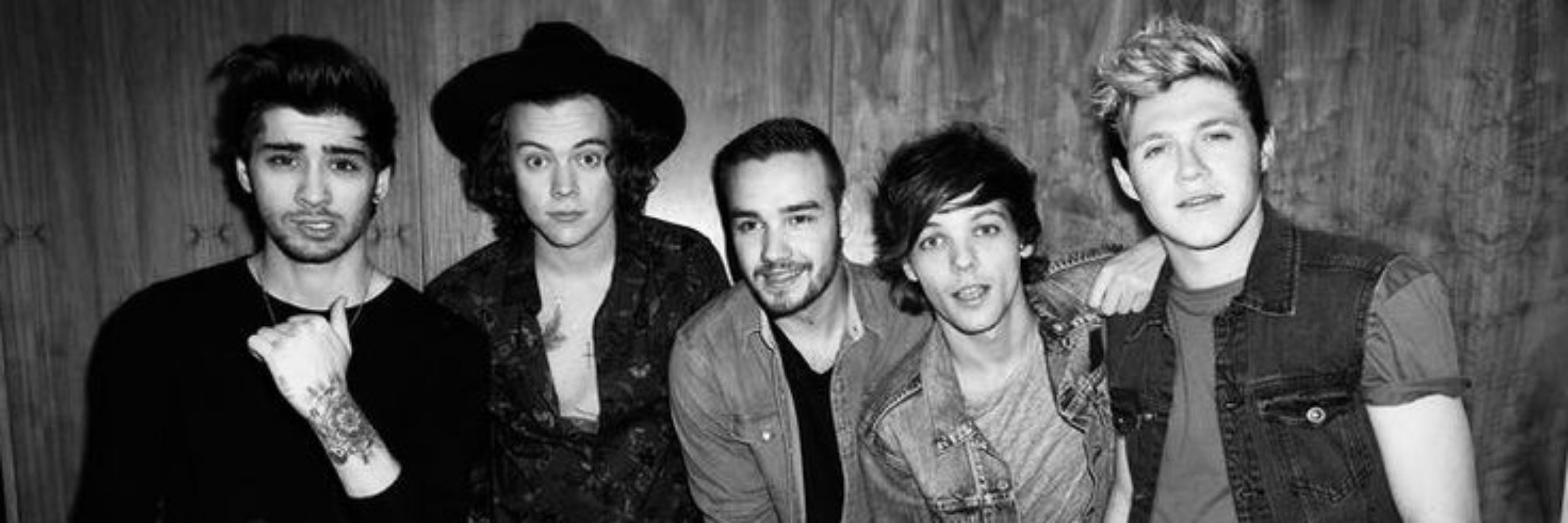 Sasa⁵ 1D vai voltar do hiatus