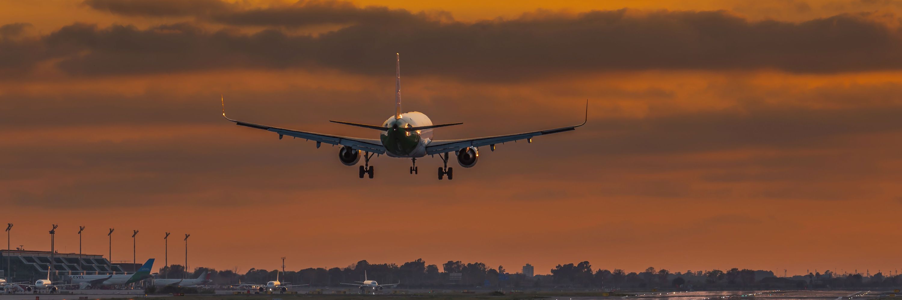 Ana Avianka737