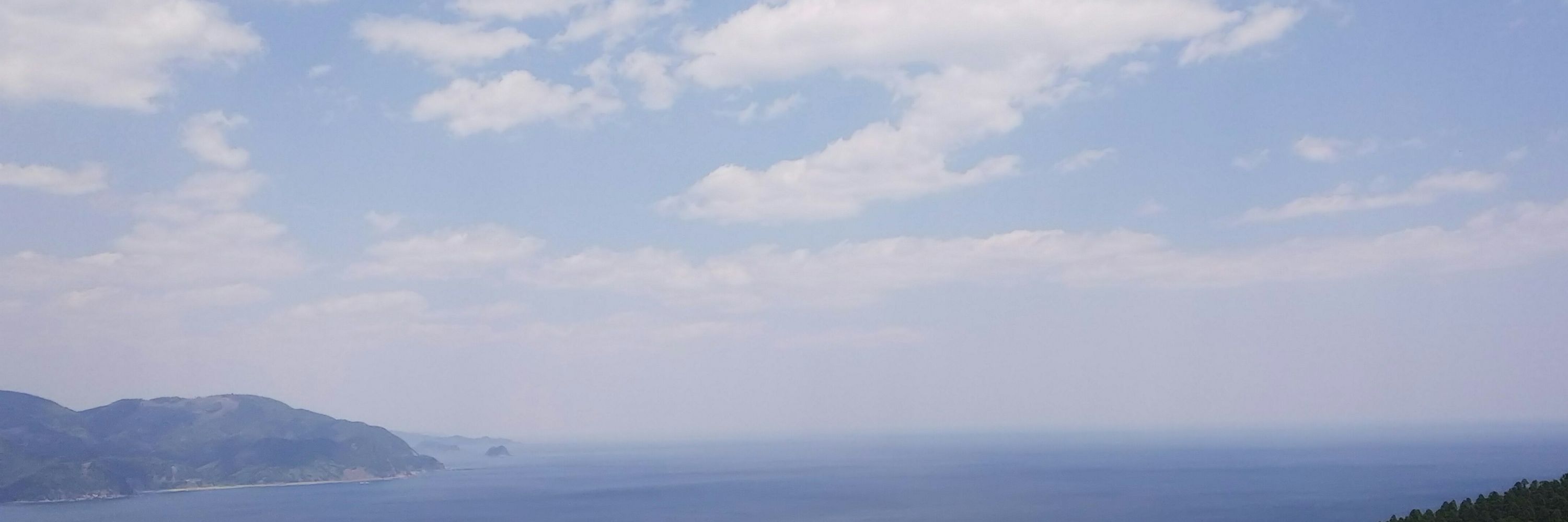 鮭