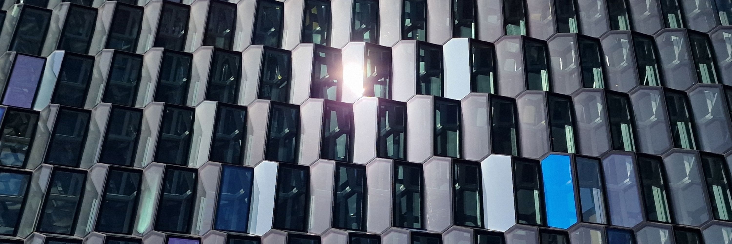 The Anúna Collective/Michael McGlynn