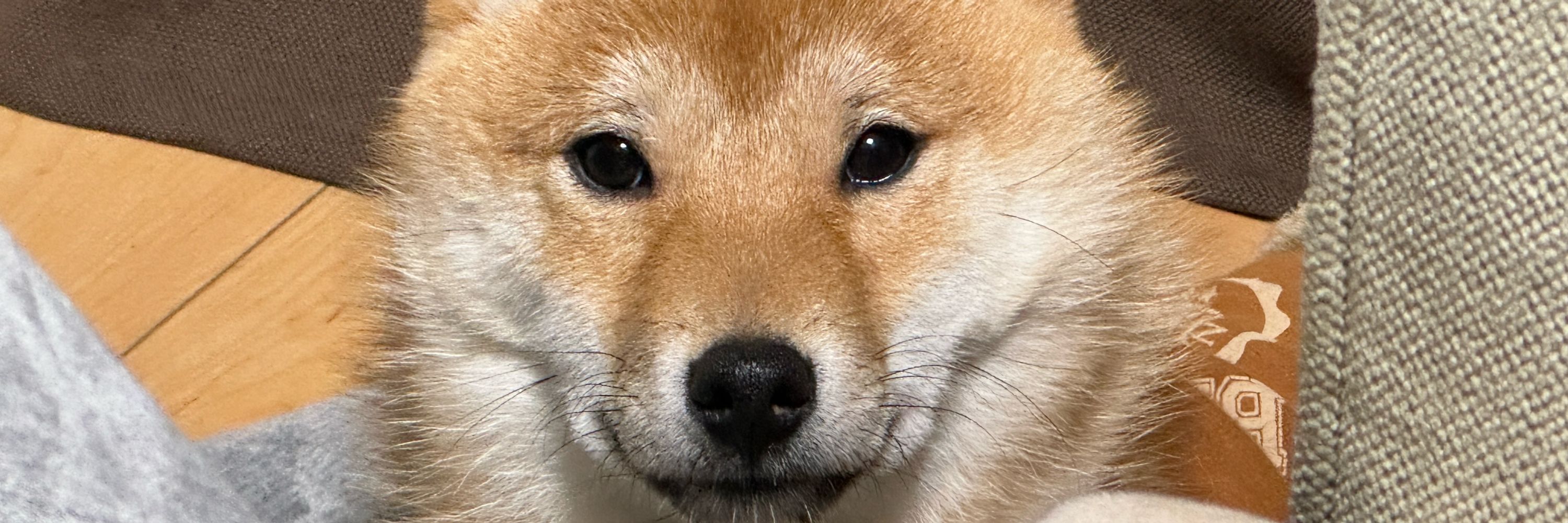 なご