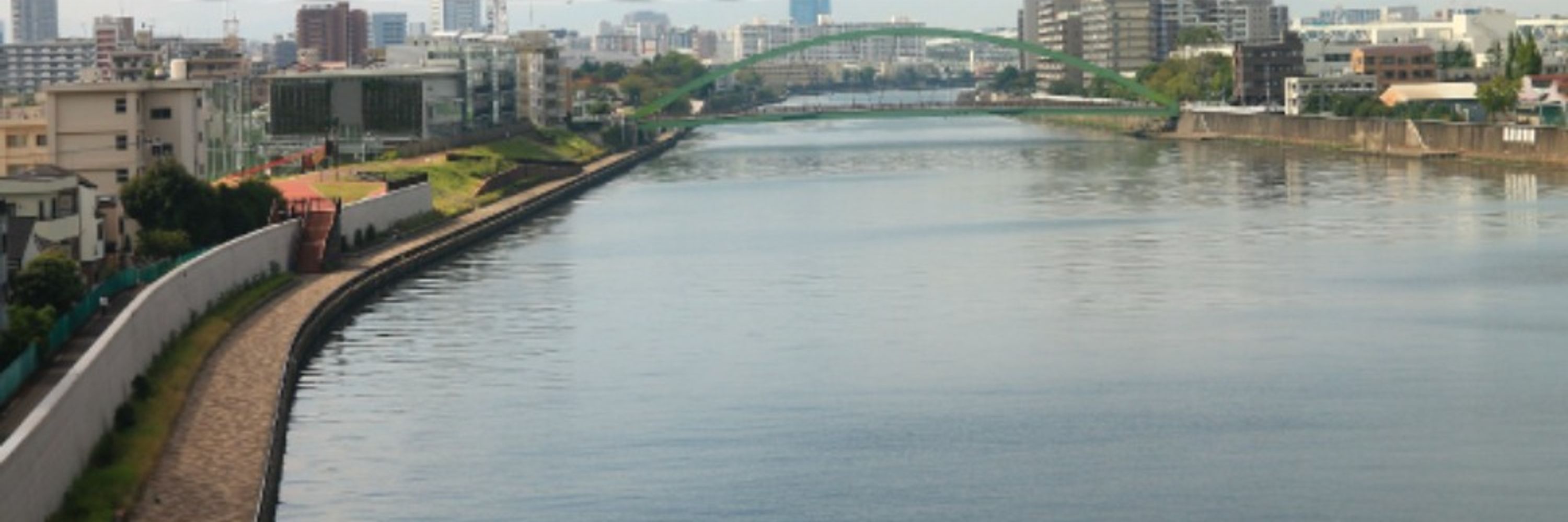 下町らいおん 上野・台東区・荒川区