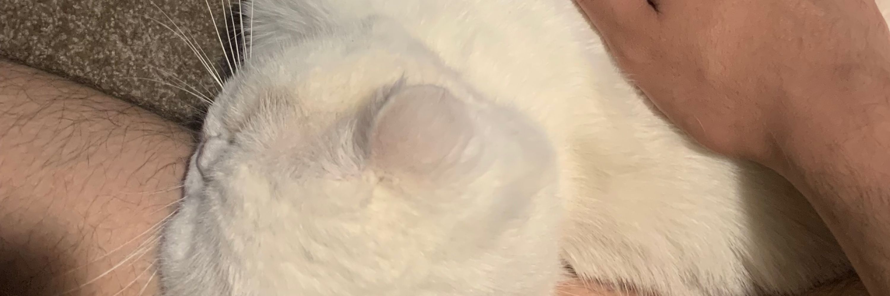 Al