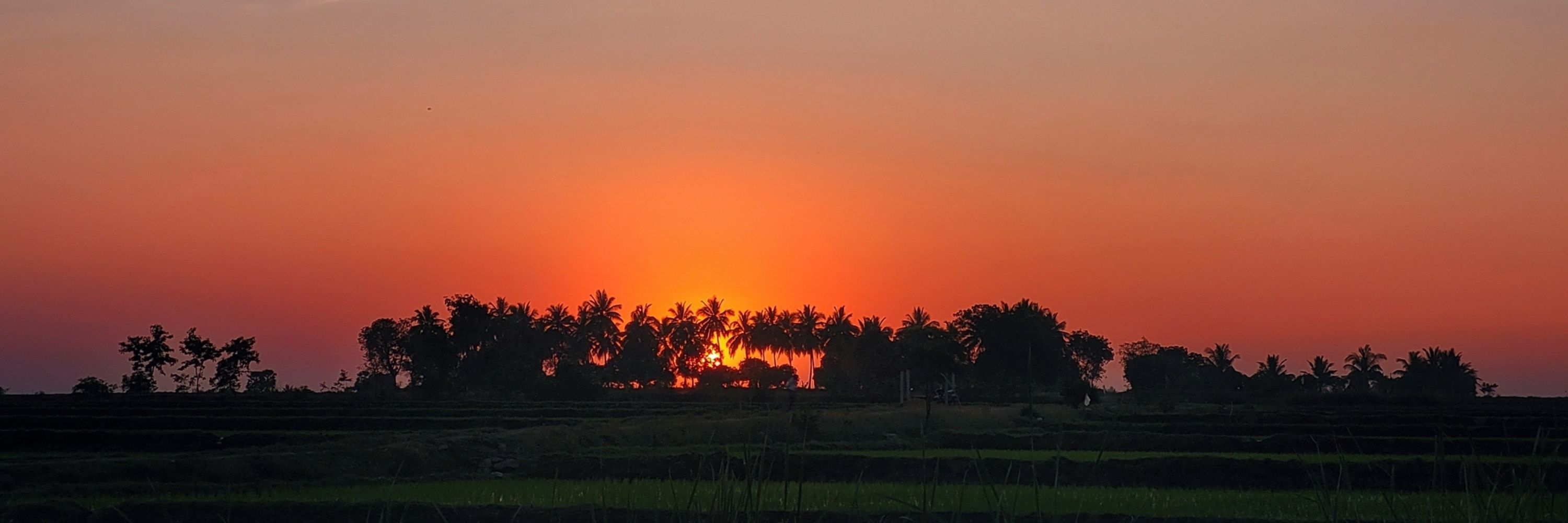 mani nekkalapudi