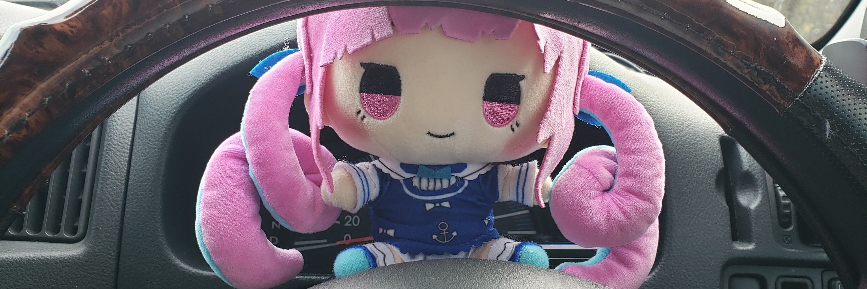 ふわ35P