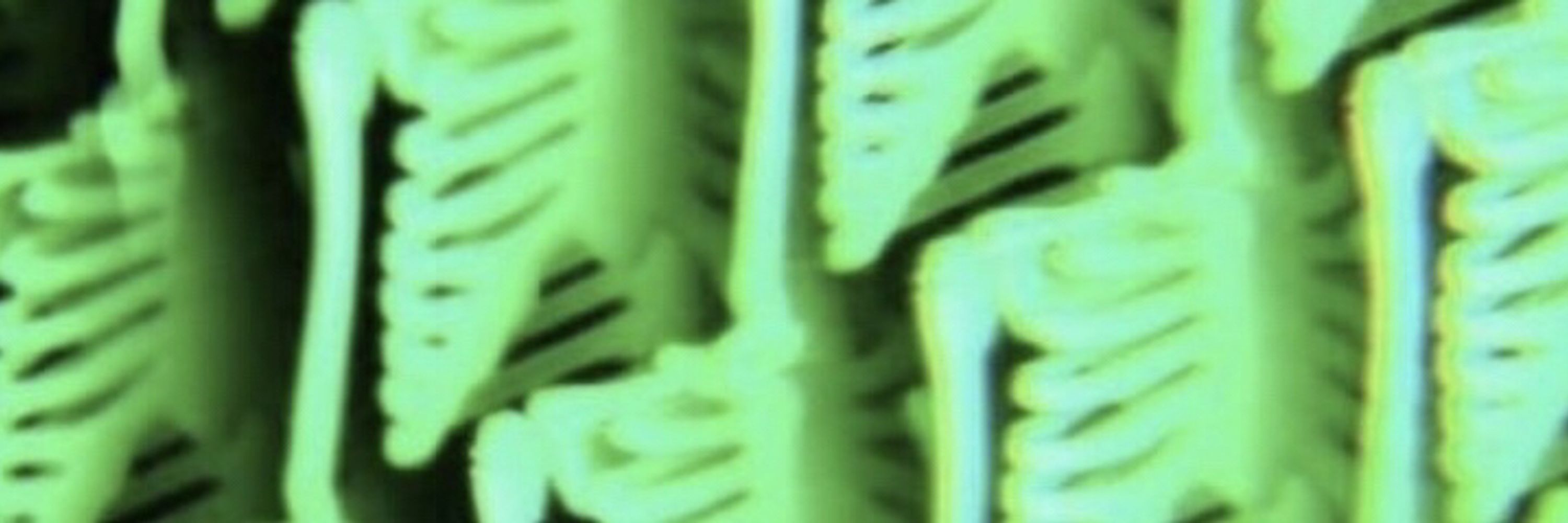 ⋆༺𓆩𝑺𝒆𝒘𝒆𝒓 𝒀𝒆𝒆𝒏𓆪༻⋆🔞