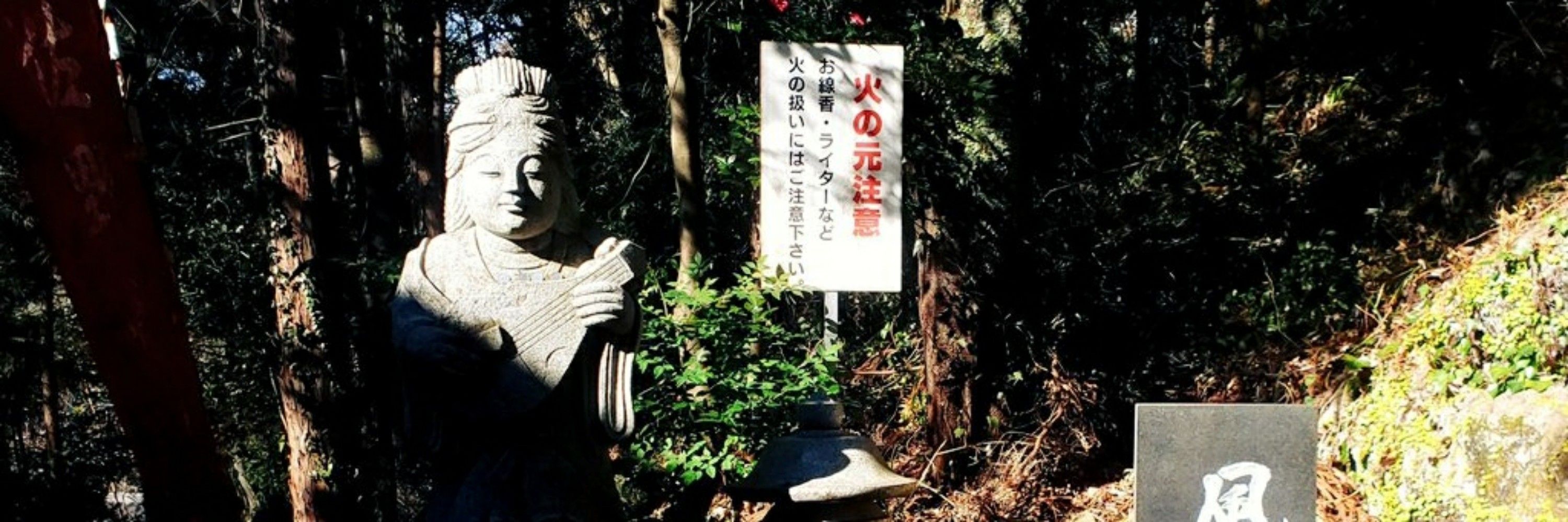 芋のなる木