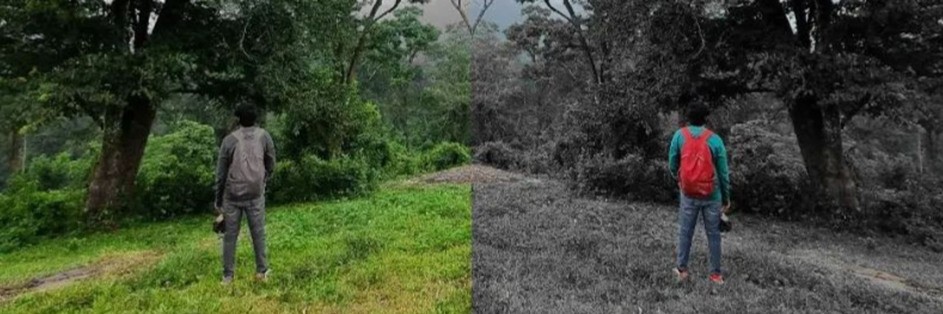BHAArath