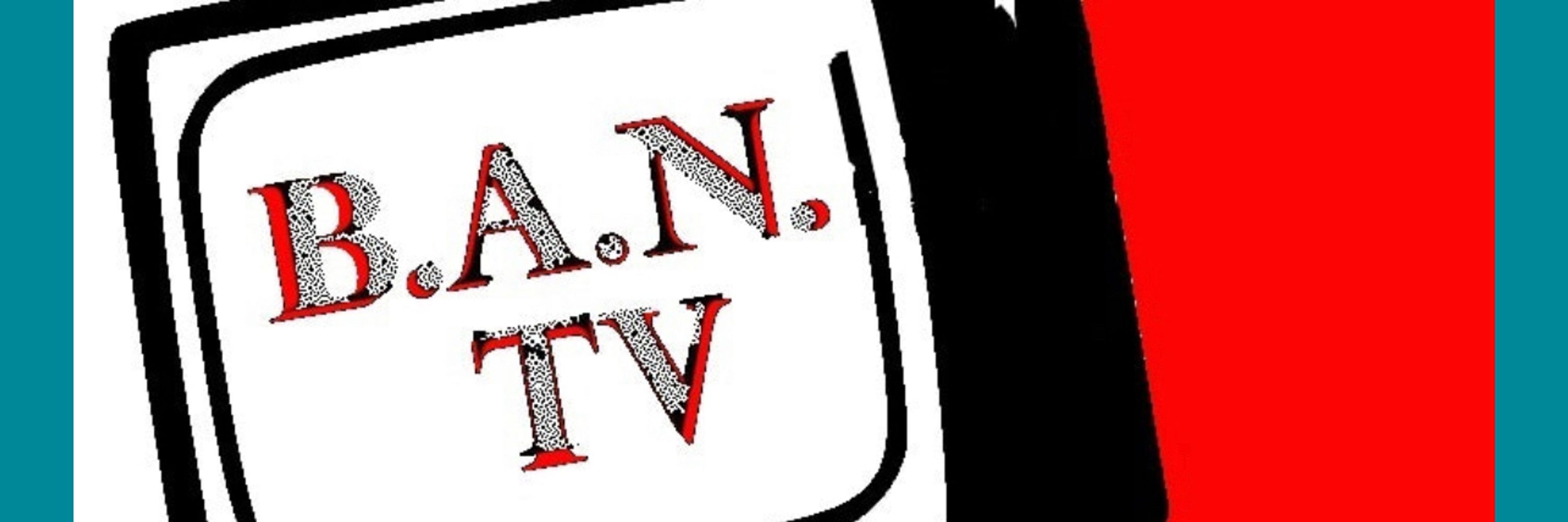 Border Arts Network 