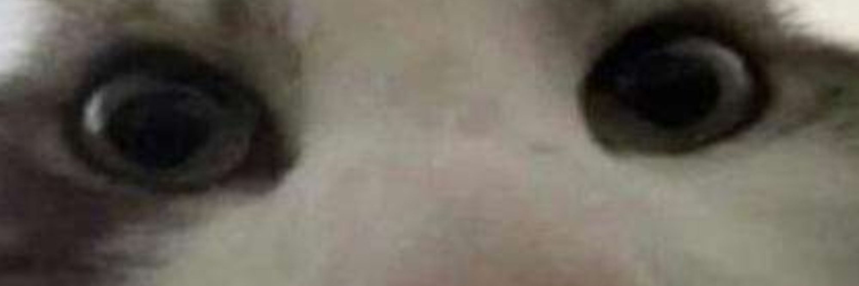 Joe,