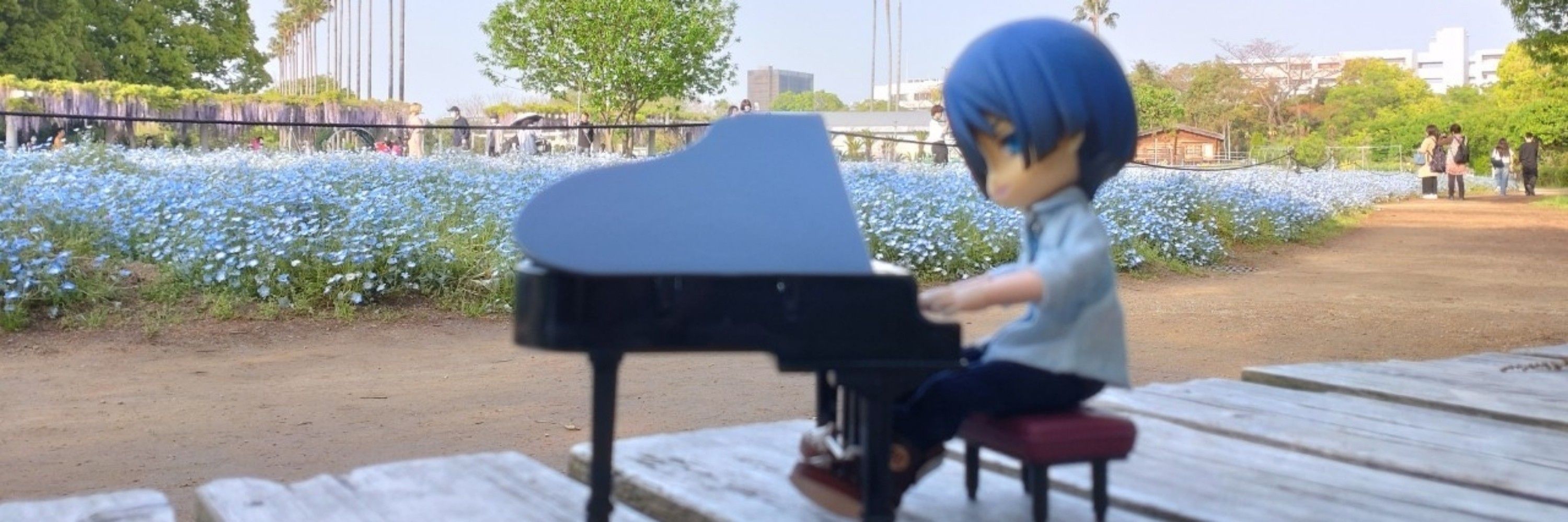 たけのこ