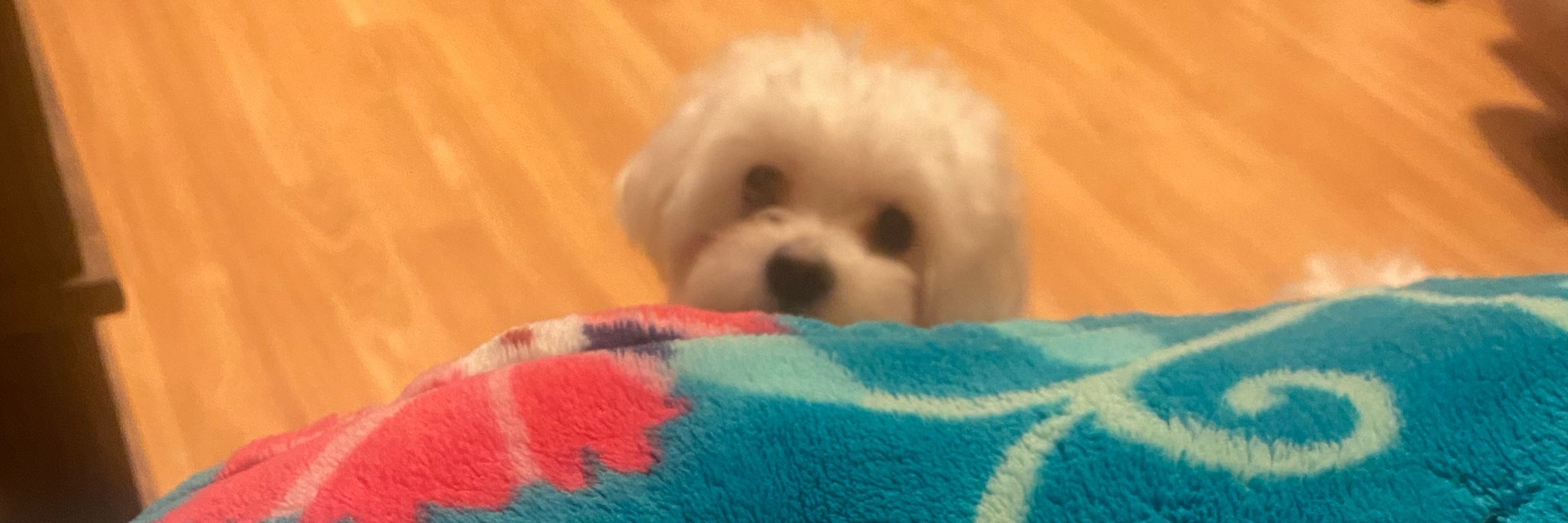 Pebs 👩🏻‍🦰