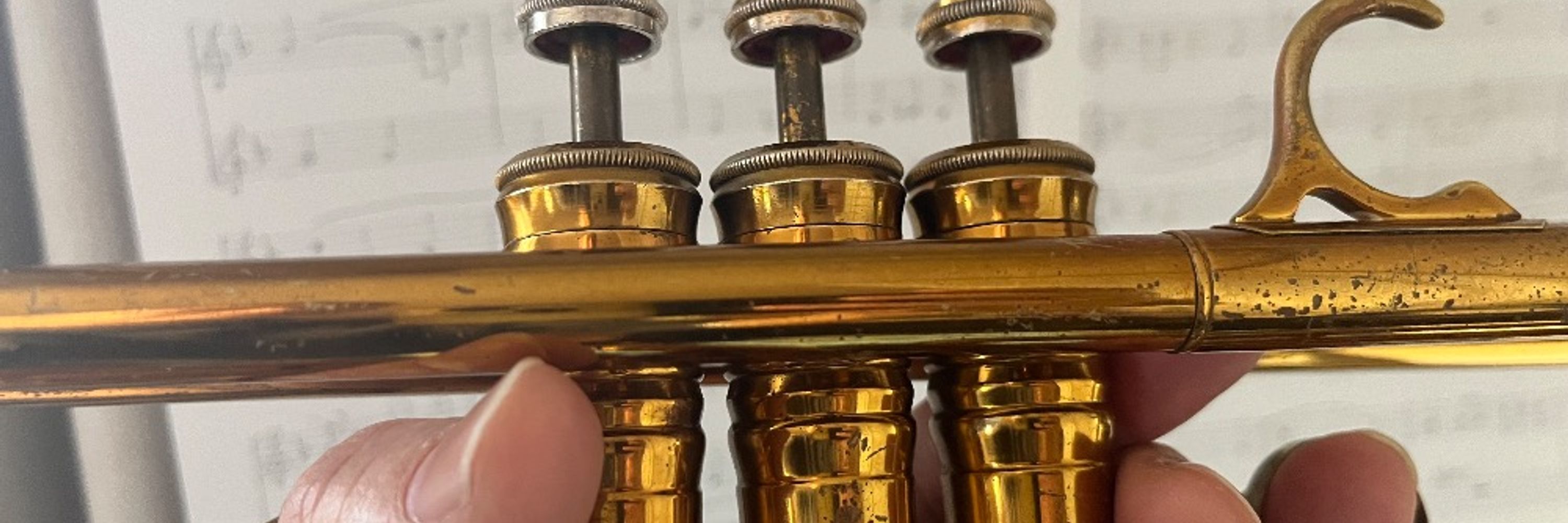 あねやん.tp🎺 aneyan, a trumpeter🇯🇵 